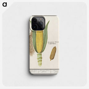 1-38_Anselmus-Boetius-de-Boodt_phone