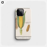 Corn - アンセルムス ボエティウス デ ブート Phone Case.
