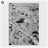 1-38_Apollo-Moon-Landing_picture-crop