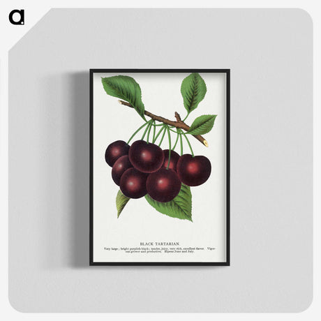 1-38_Botanical-Specimen-Plates_blk-crop