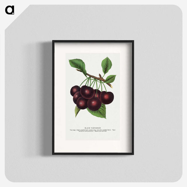 1-38_Botanical-Specimen-Plates_blk