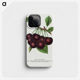 1-38_Botanical-Specimen-Plates_phone