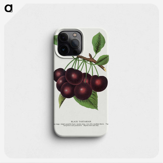 1-38_Botanical-Specimen-Plates_phone