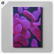 1-38_COVID-19_canvas