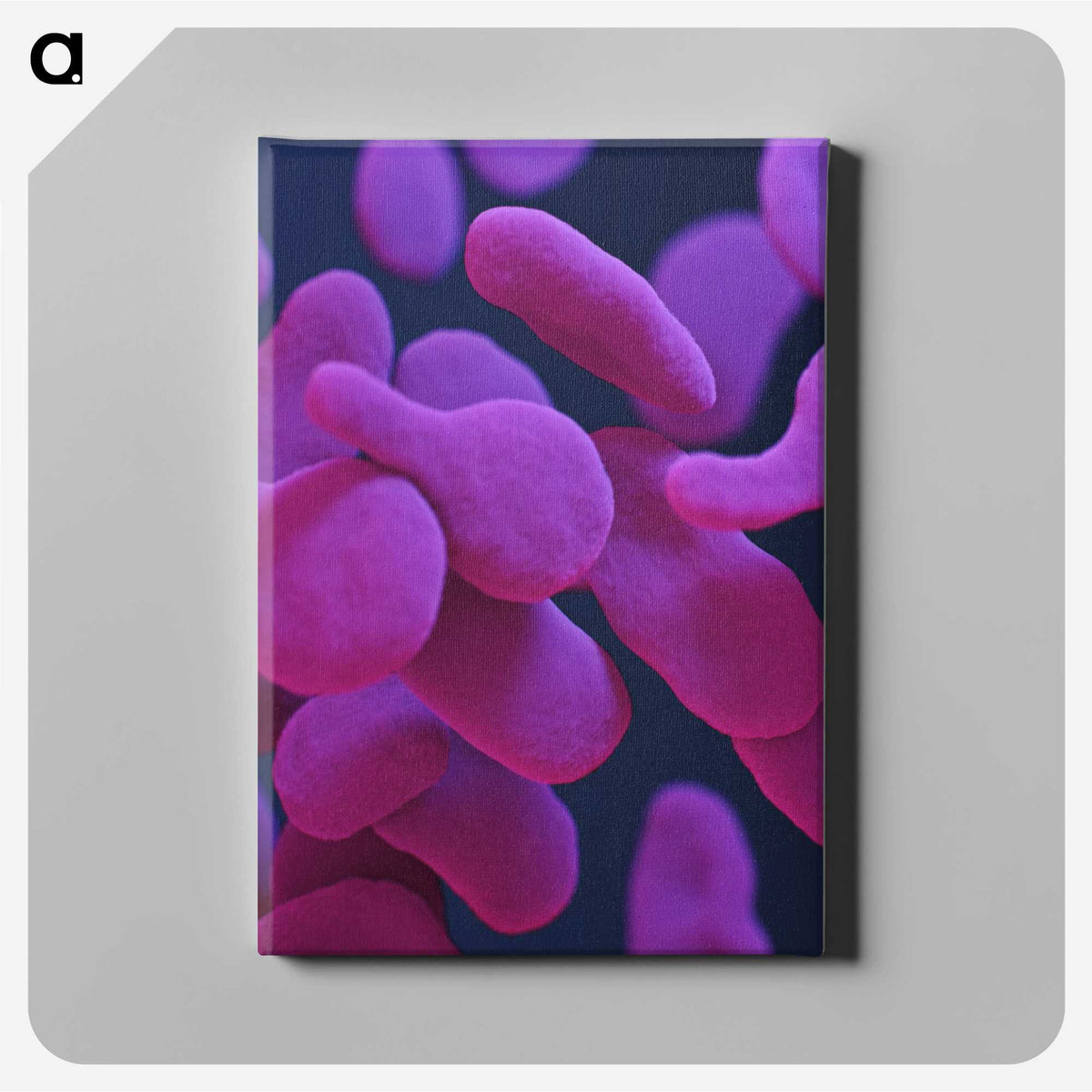 1-38_COVID-19_canvas