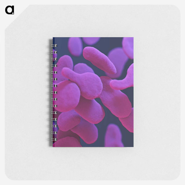 1-38_COVID-19_memo