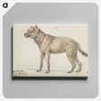1-38_Charles-Hamilton-Smith_canvas
