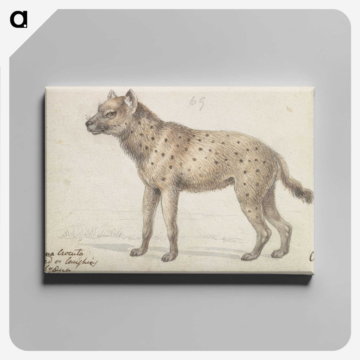 1-38_Charles-Hamilton-Smith_canvas