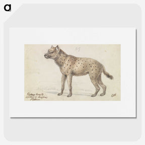 1-38_Charles-Hamilton-Smith_picture