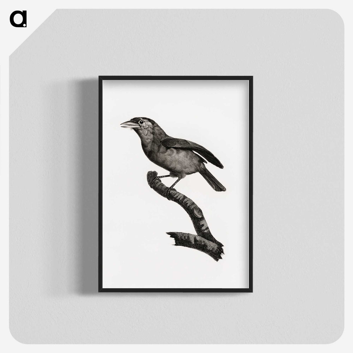 1-38_Des-Oiseaux-de-Paradis_blk-crop