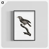 1-38_Des-Oiseaux-de-Paradis_blk-crop