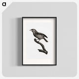 1-38_Des-Oiseaux-de-Paradis_blk