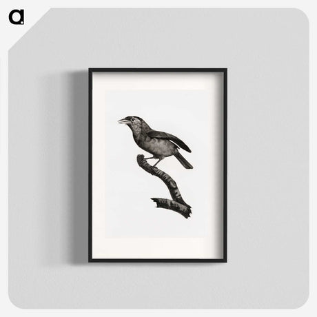 1-38_Des-Oiseaux-de-Paradis_blk