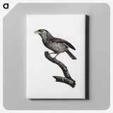1-38_Des-Oiseaux-de-Paradis_canvas