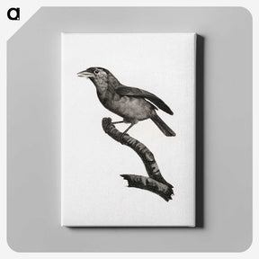 1-38_Des-Oiseaux-de-Paradis_canvas