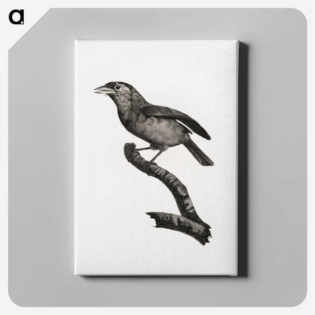 1-38_Des-Oiseaux-de-Paradis_canvas