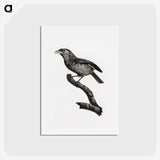 1-38_Des-Oiseaux-de-Paradis_hagaki