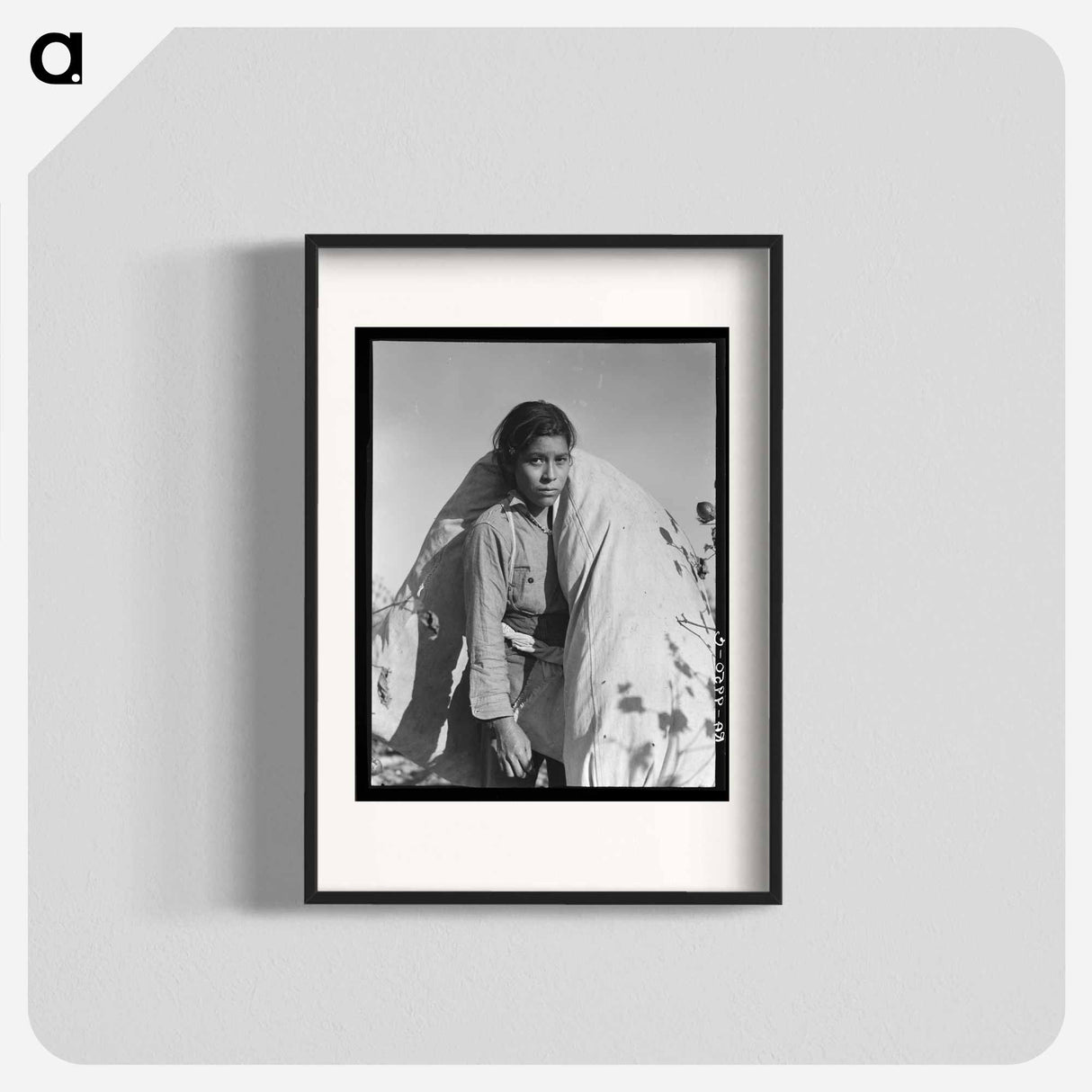 Mexican cotton picker - Dorothea Lange Poster.