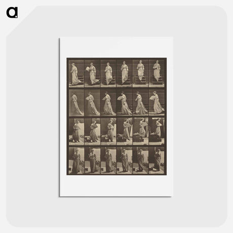 アートポストカード-Animal Locomotion
 - エドワード マイブリッジ Postcard.