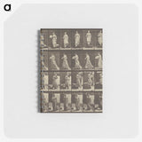 1-38_Eadweard-Muybridge_memo