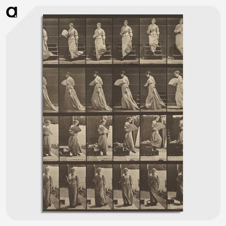 1-38_Eadweard-Muybridge_picture-crop