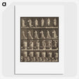 1-38_Eadweard-Muybridge_picture