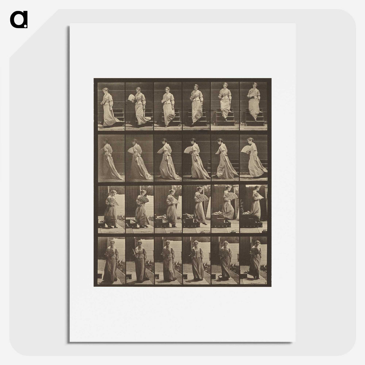 1-38_Eadweard-Muybridge_picture