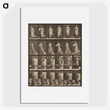 1-38_Eadweard-Muybridge_picture