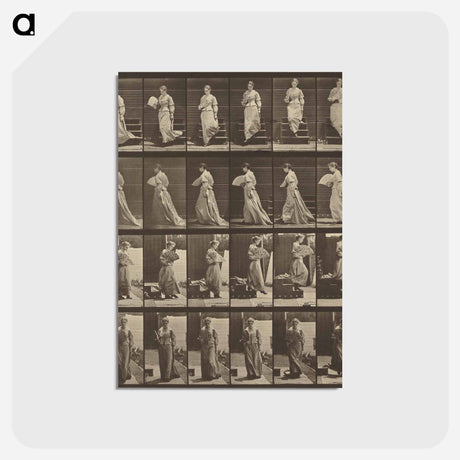 アートポストカード-Animal Locomotion
 - エドワード マイブリッジ Postcard.