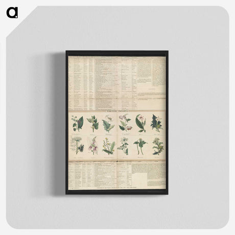 1-38_Education-Charts_blk-crop