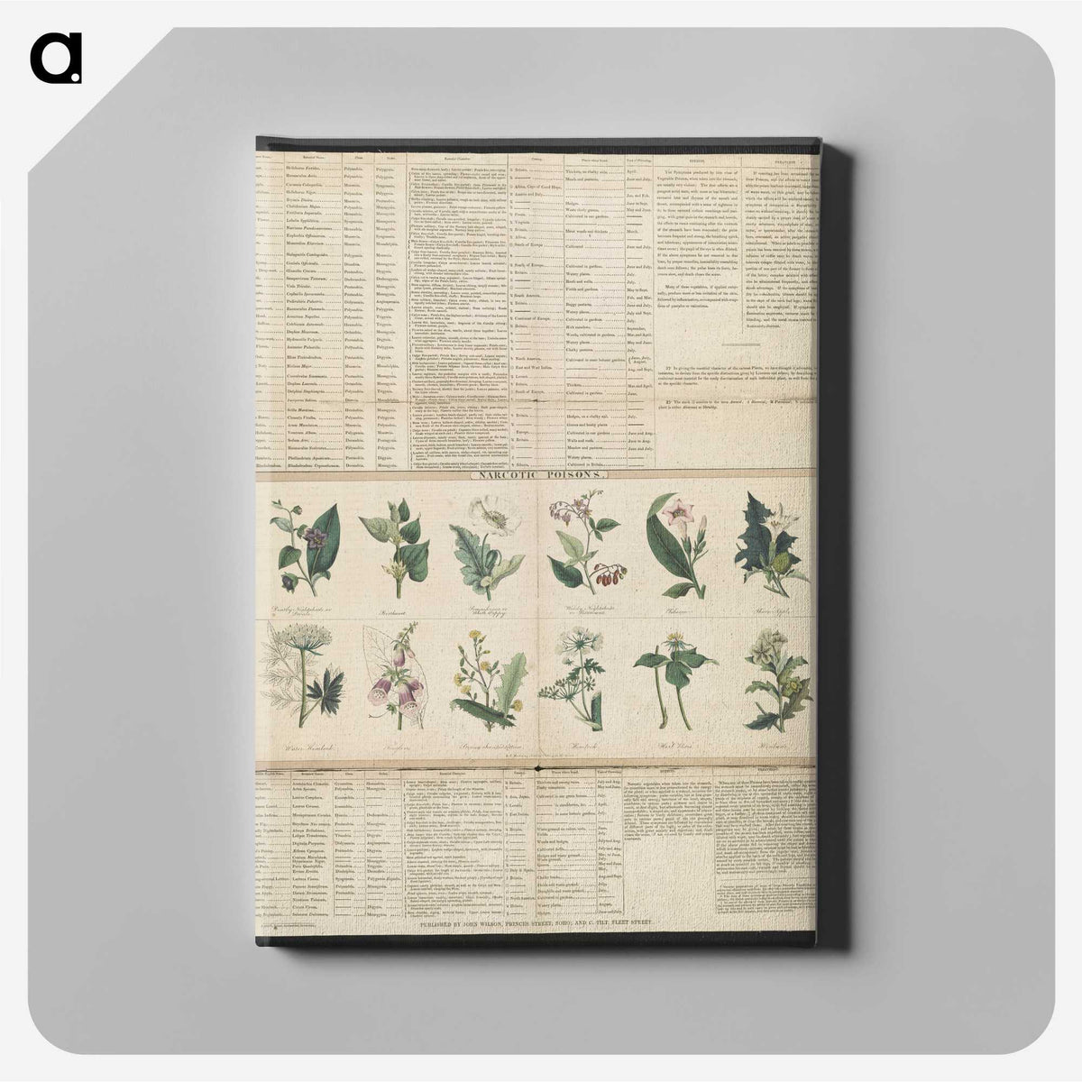 1-38_Education-Charts_canvas