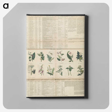 1-38_Education-Charts_canvas