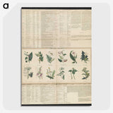 1-38_Education-Charts_picture-crop