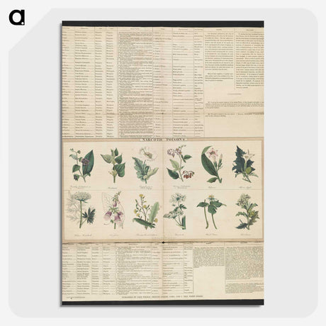 1-38_Education-Charts_picture-crop