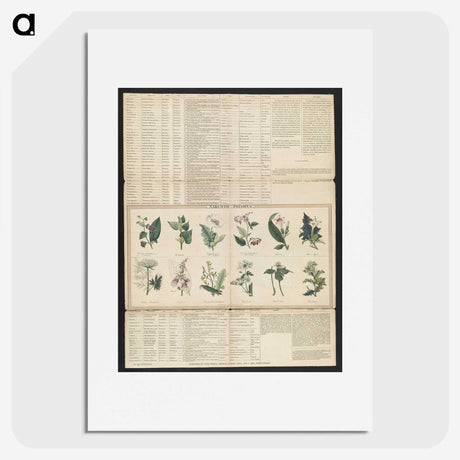 1-38_Education-Charts_picture