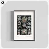 1-38_Ernst-Haeckel_blk