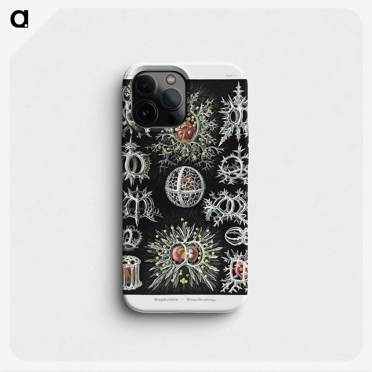 1-38_Ernst-Haeckel_phone