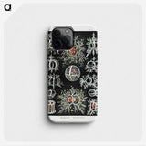 1-38_Ernst-Haeckel_phone