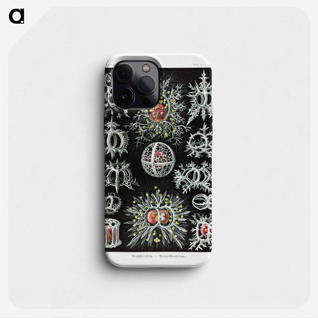 Stephoidea–Ringelstrahlinge - エルンスト ヘッケル Phone Case.