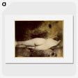 1-38_Eugene-Atget_picture