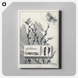 1-38_Favorite-Flies-and-Their-History_canvas