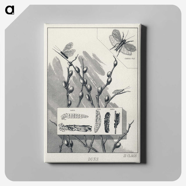 1-38_Favorite-Flies-and-Their-History_canvas
