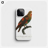 1-38_Francois-Levaillant_phone