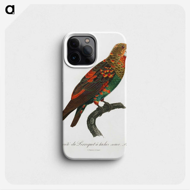 1-38_Francois-Levaillant_phone