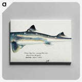 1-38_Frank-Edward-Clarke_canvas