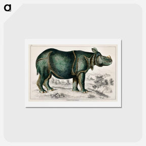 アートポストカード-Rhinoceros
 - ゴールドスミスの生き生きとした自然 Postcard.