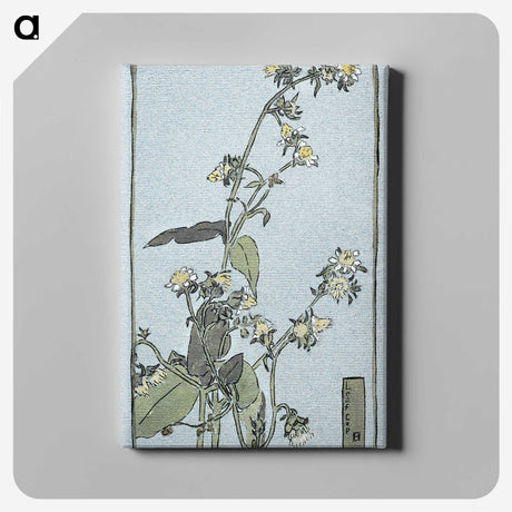 1-38_Hannah-Borger-Overbeck_canvas