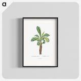 1-38_Histoire-des-Plantes-Grasses_blk