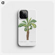 1-38_Histoire-des-Plantes-Grasses_phone