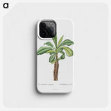 1-38_Histoire-des-Plantes-Grasses_phone